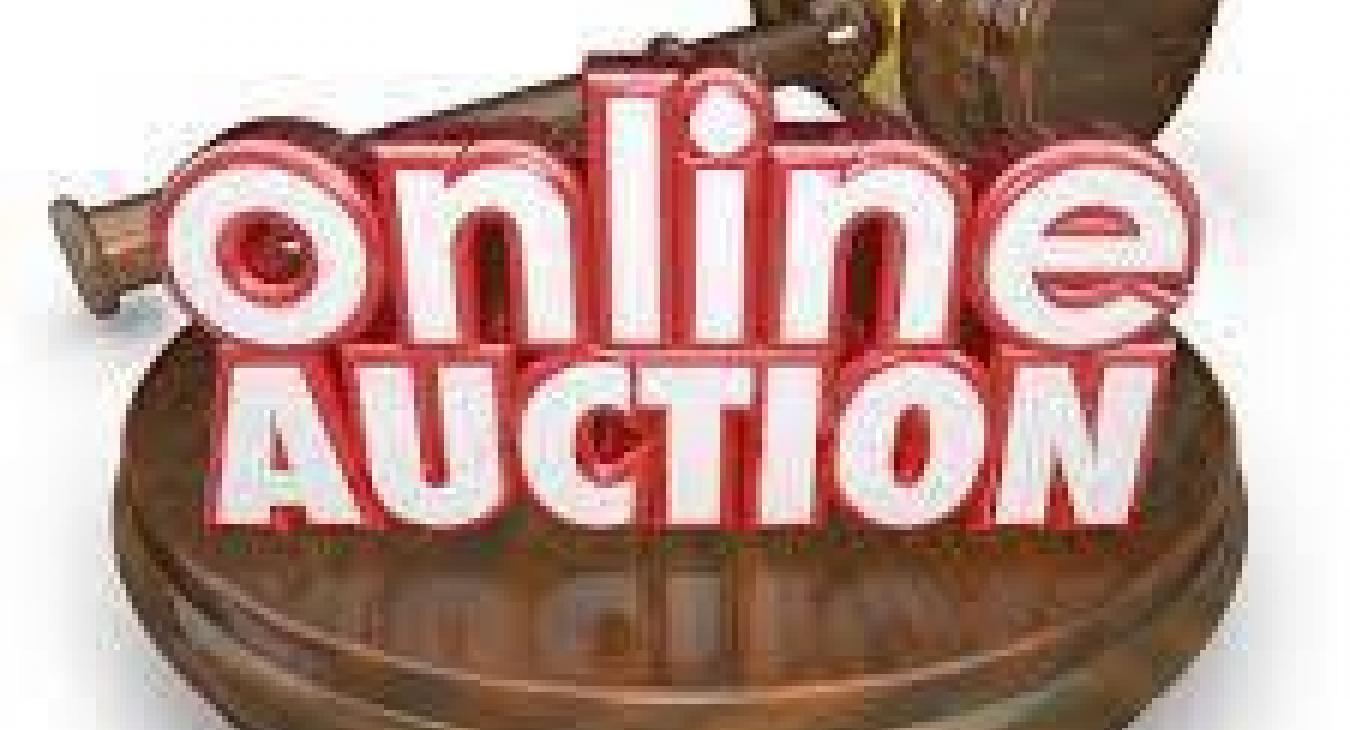Everyone can participate in online auctions!!